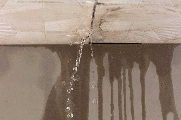 Professional Burst Pipe Cleanup technician working in Satellite Beach, FL